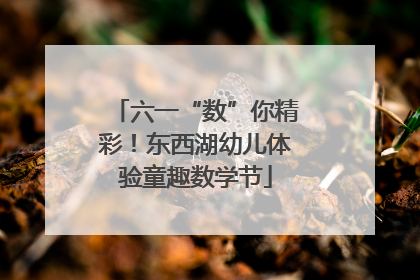 六一“数”你精彩！东西湖幼儿体验童趣数学节