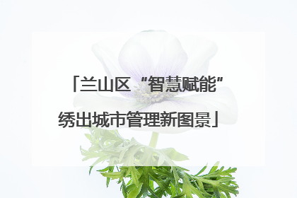 兰山区“智慧赋能”绣出城市管理新图景