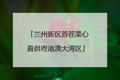 兰州新区首茬菜心直供粤港澳大湾区