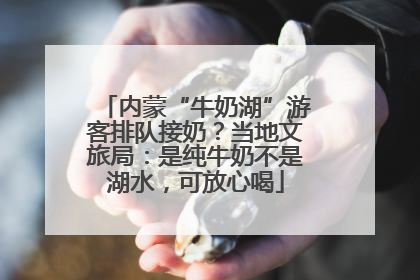 内蒙“牛奶湖”游客排队接奶？当地文旅局：是纯牛奶不是湖水，可放心喝