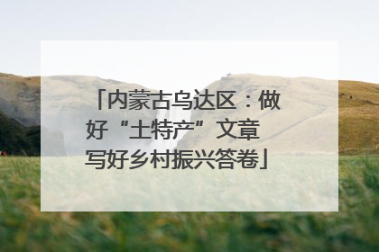 内蒙古乌达区：做好“土特产”文章 写好乡村振兴答卷
