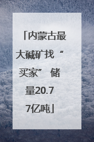 内蒙古最大碱矿找“买家” 储量20.77亿吨