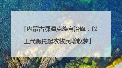 内蒙古鄂温克族自治旗：以工代赈托起农牧民增收梦