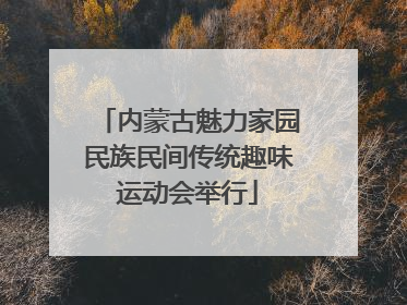 内蒙古魅力家园民族民间传统趣味运动会举行
