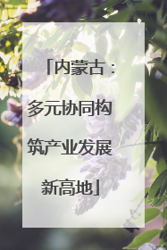 内蒙古：多元协同构筑产业发展新高地