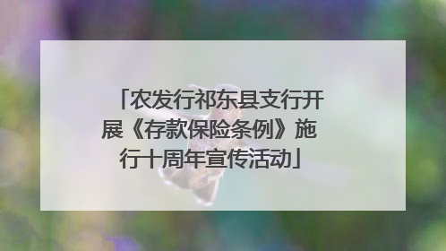 农发行祁东县支行开展《存款保险条例》施行十周年宣传活动
