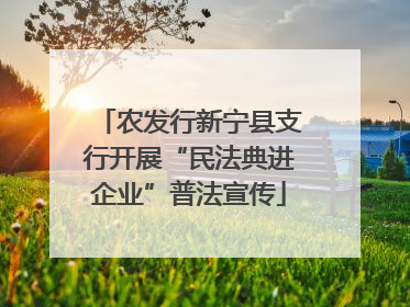 农发行新宁县支行开展“民法典进企业”普法宣传