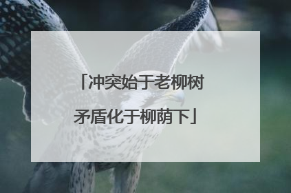 冲突始于老柳树 矛盾化于柳荫下