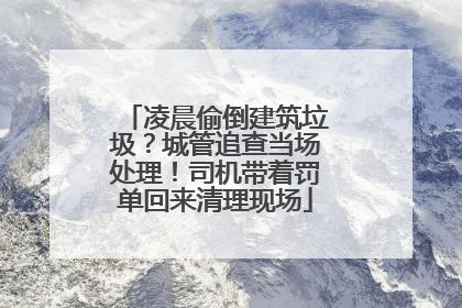 凌晨偷倒建筑垃圾？城管追查当场处理！司机带着罚单回来清理现场