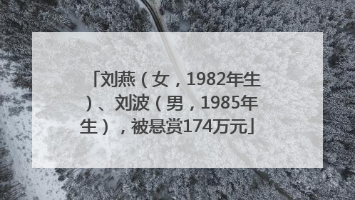 刘燕（女，1982年生）、刘波（男，1985年生），被悬赏174万元