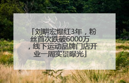 刘畊宏爆红3年，粉丝首次跌破6000万，线下运动品牌门店开业一周实景曝光