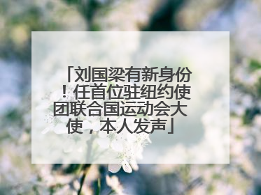 刘国梁有新身份！任首位驻纽约使团联合国运动会大使，本人发声