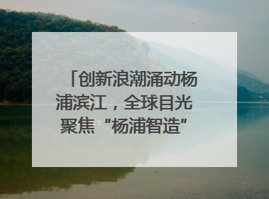 创新浪潮涌动杨浦滨江，全球目光聚焦“杨浦智造”｜相约复兴岛