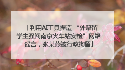 利用AI工具捏造 “外籍留学生强闯南京火车站安检”网络谣言，张某燕被行政拘留