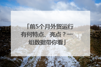 前5个月外贸运行有何特点、亮点？一组数据带你看
