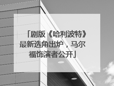 剧版《哈利波特》最新选角出炉，马尔福饰演者公开