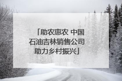 助农惠农 中国石油吉林销售公司助力乡村振兴