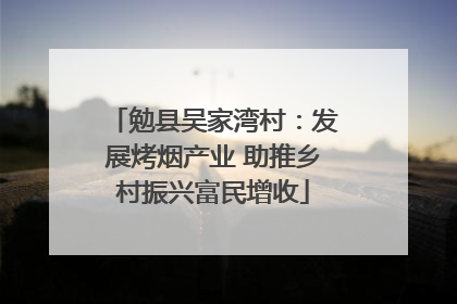 勉县吴家湾村：发展烤烟产业 助推乡村振兴富民增收