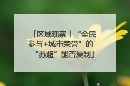 区域观察丨“全民参与+城市荣誉”的“苏超”能否复制