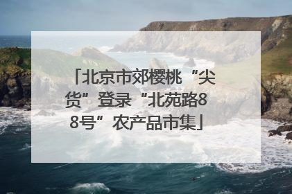 北京市郊樱桃“尖货”登录“北苑路88号”农产品市集