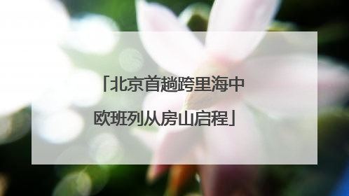 北京首趟跨里海中欧班列从房山启程