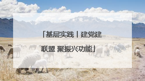 基层实践丨建党建联盟 聚振兴功能