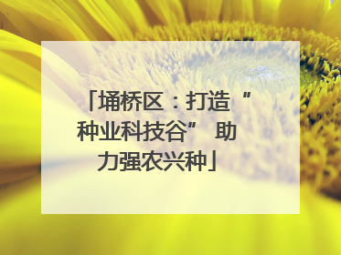 埇桥区：打造“种业科技谷” 助力强农兴种