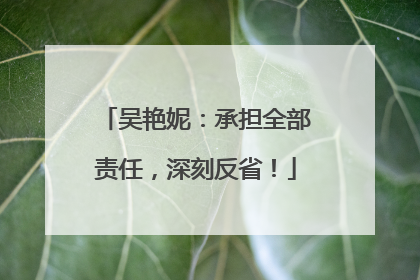 吴艳妮：承担全部责任，深刻反省！