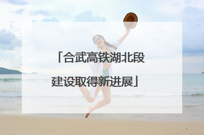 合武高铁湖北段建设取得新进展