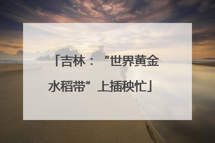 吉林：“世界黄金水稻带”上插秧忙