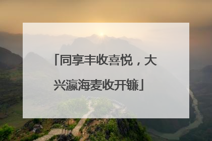 同享丰收喜悦，大兴瀛海麦收开镰