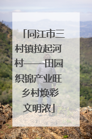 同江市三村镇拉起河村——田园织锦产业旺 乡村焕彩文明浓
