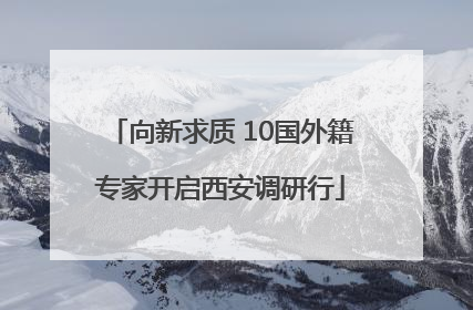 向新求质 10国外籍专家开启西安调研行