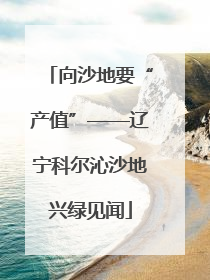 向沙地要“产值”——辽宁科尔沁沙地兴绿见闻