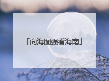 向海图强看海南