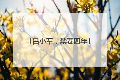 吕小军，禁赛四年