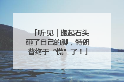 听·见｜搬起石头砸了自己的脚，特朗普终于“慌”了！