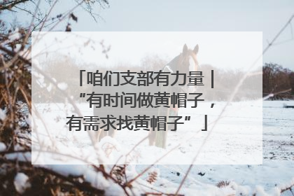 咱们支部有力量｜“有时间做黄帽子，有需求找黄帽子”