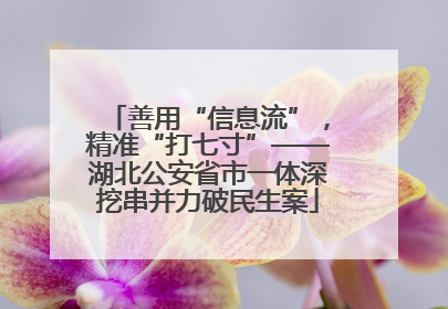 善用“信息流”，精准“打七寸”——湖北公安省市一体深挖串并力破民生案