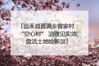 嘉禾县普满乡曾家村：“空心村” 治理见实效 盘活土地绘新景