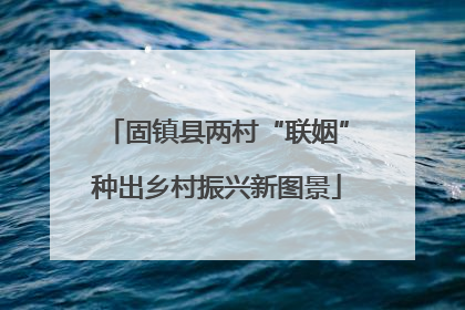 固镇县两村“联姻”种出乡村振兴新图景