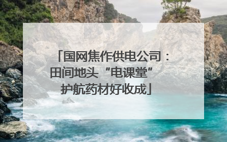 国网焦作供电公司：田间地头“电课堂” 护航药材好收成