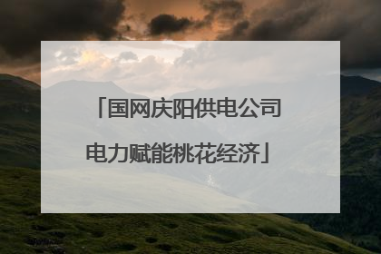 国网庆阳供电公司电力赋能桃花经济