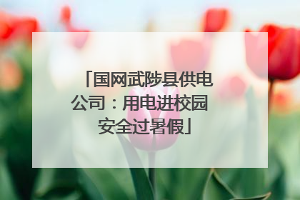 国网武陟县供电公司：用电进校园  安全过暑假