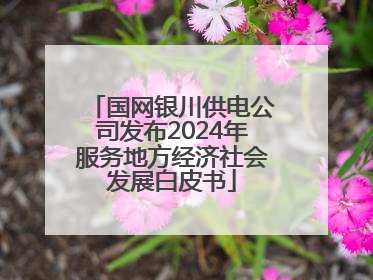 国网银川供电公司发布2024年服务地方经济社会发展白皮书