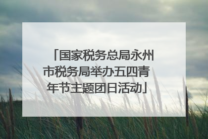 国家税务总局永州市税务局举办五四青年节主题团日活动