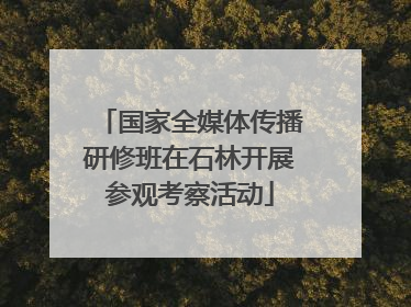 国家全媒体传播研修班在石林开展参观考察活动