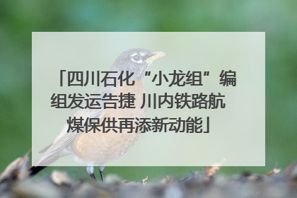 四川石化“小龙组”编组发运告捷 川内铁路航煤保供再添新动能