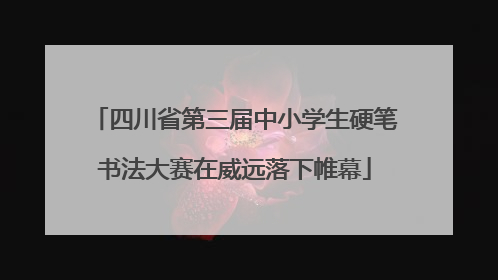 四川省第三届中小学生硬笔书法大赛在威远落下帷幕