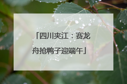 四川夹江：赛龙舟抢鸭子迎端午